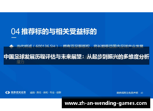 中国足球发展历程评估与未来展望：从起步到振兴的多维度分析