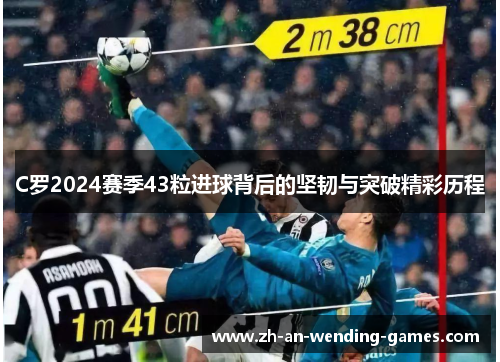 C罗2024赛季43粒进球背后的坚韧与突破精彩历程