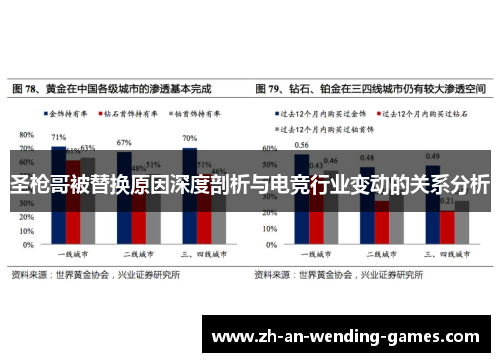 圣枪哥被替换原因深度剖析与电竞行业变动的关系分析