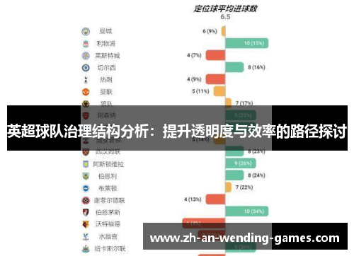 英超球队治理结构分析：提升透明度与效率的路径探讨